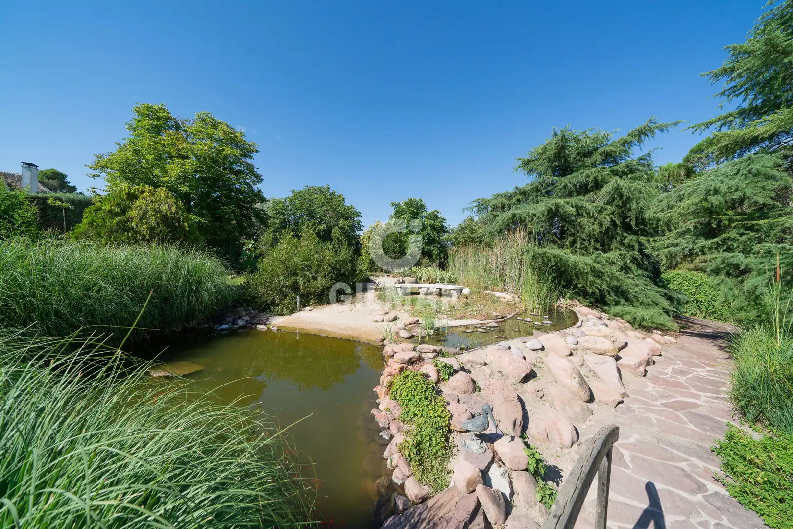 Jardín de Casa o chalet en venta en Algete con Piscina