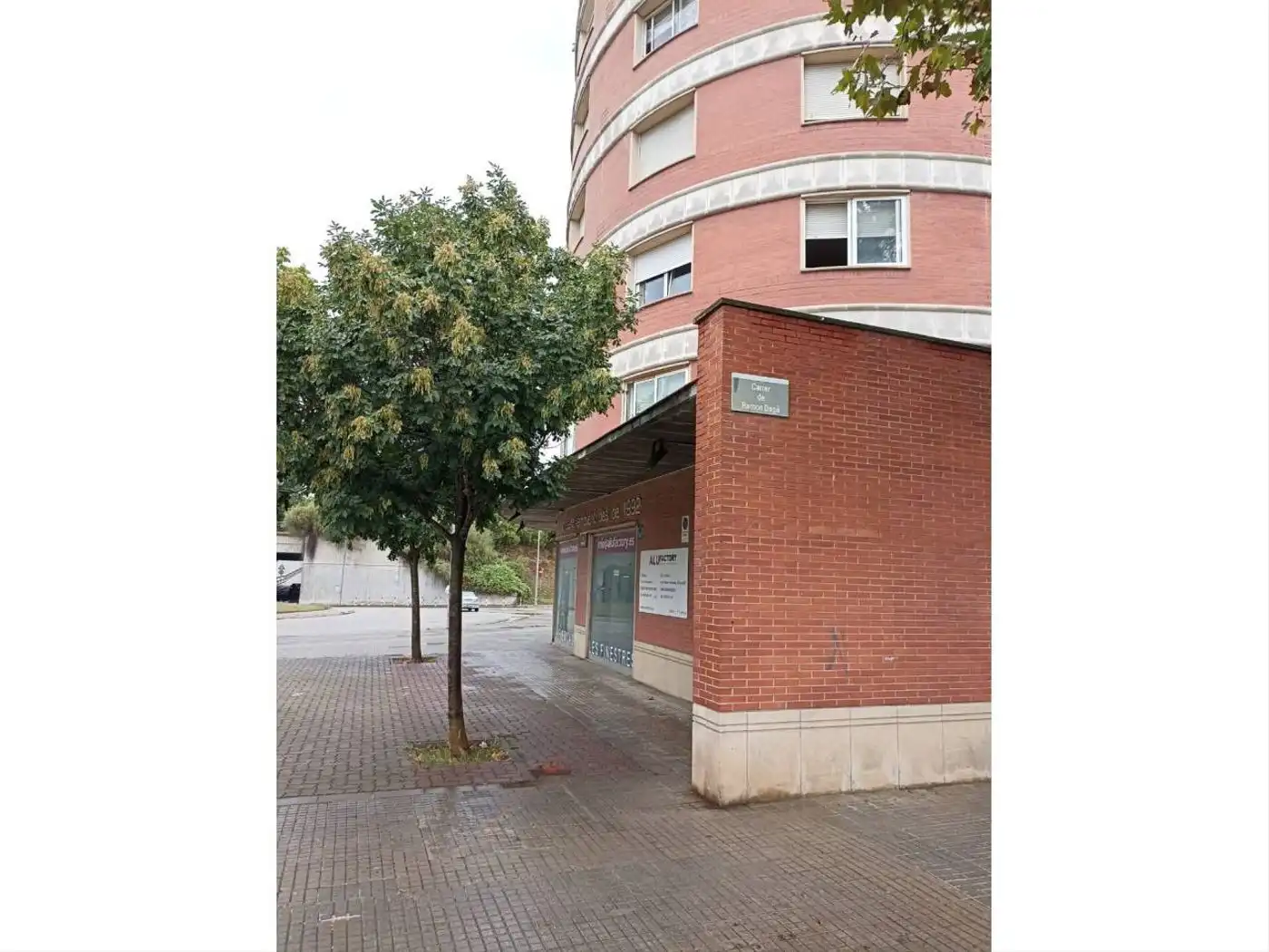 Business premises for sale in Can Bassa, imagen 4