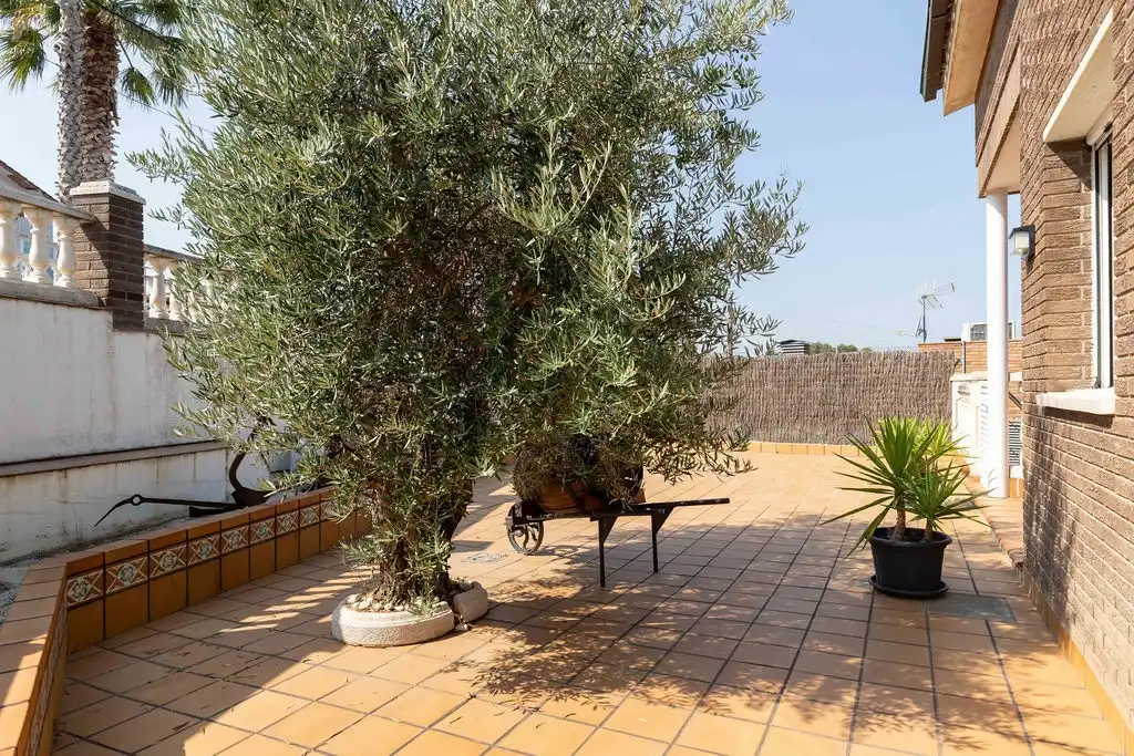 Maison avec terrasse à vendre à Àliga (Can Palet de Vistalegre), imagen 4