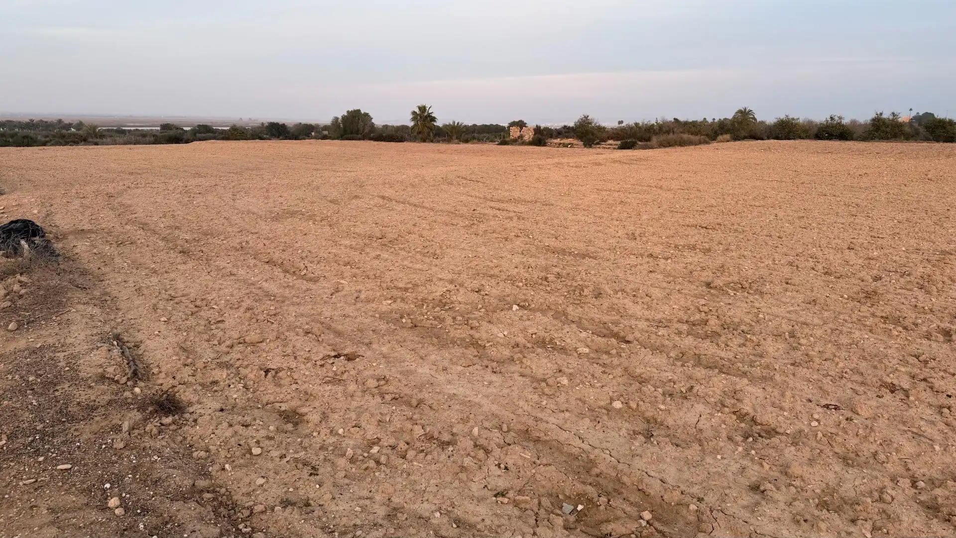 Terrain rustique à vendre à La Marina, imagen 21