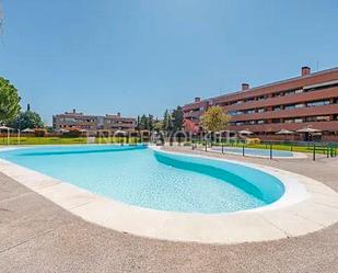 Swimming pool of Apartment to rent in Pozuelo de Alarcón  with Air Conditioner, Heating and Parquet flooring