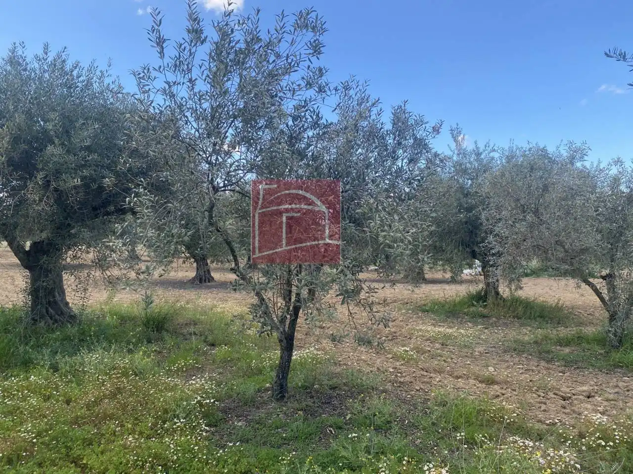 Terreni e lotti in vendita a Villanueva de la Serena, imagen 7