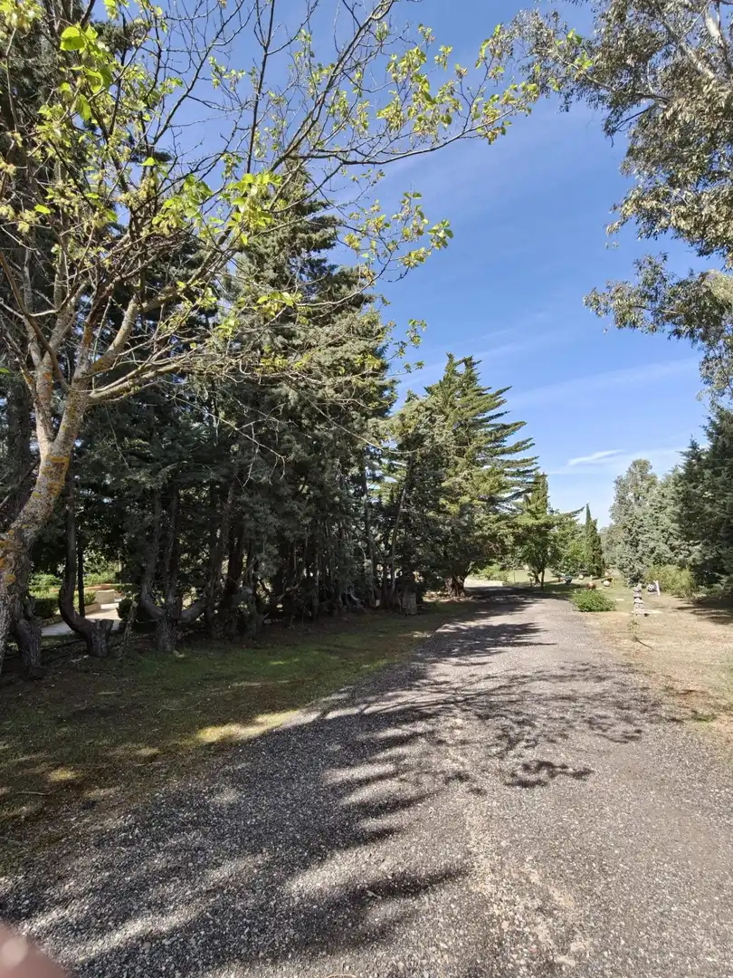 Chalet en venta en CERRO PALOS poligono 45 parcela 63, imagen 45