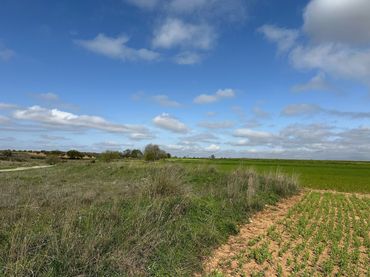 Rural land for sale in Chinchón