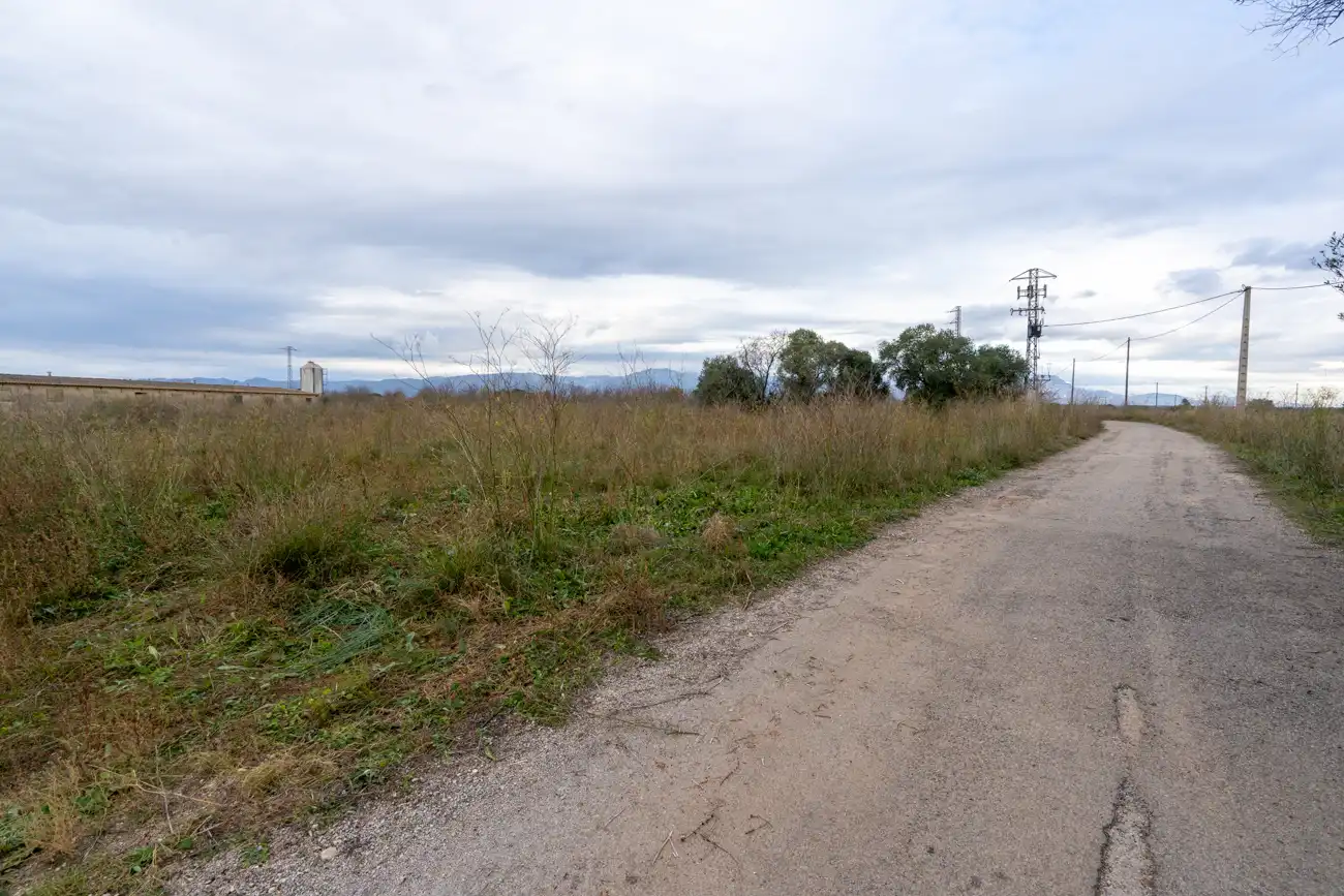 Rural land for sale in Ulldecona, imagen 10