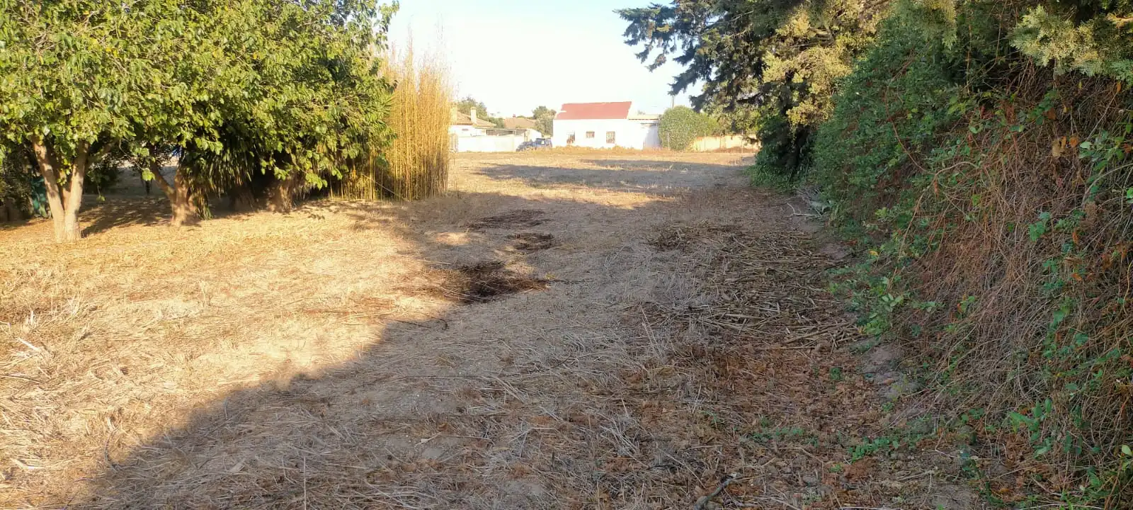 Rural land for sale in El Juncal - Vallealto, imagen 8