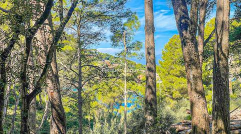 Foto 3 de Terreny industrial en venda a S´antiga, 13, Sa Riera - Sa Fontansa, Girona