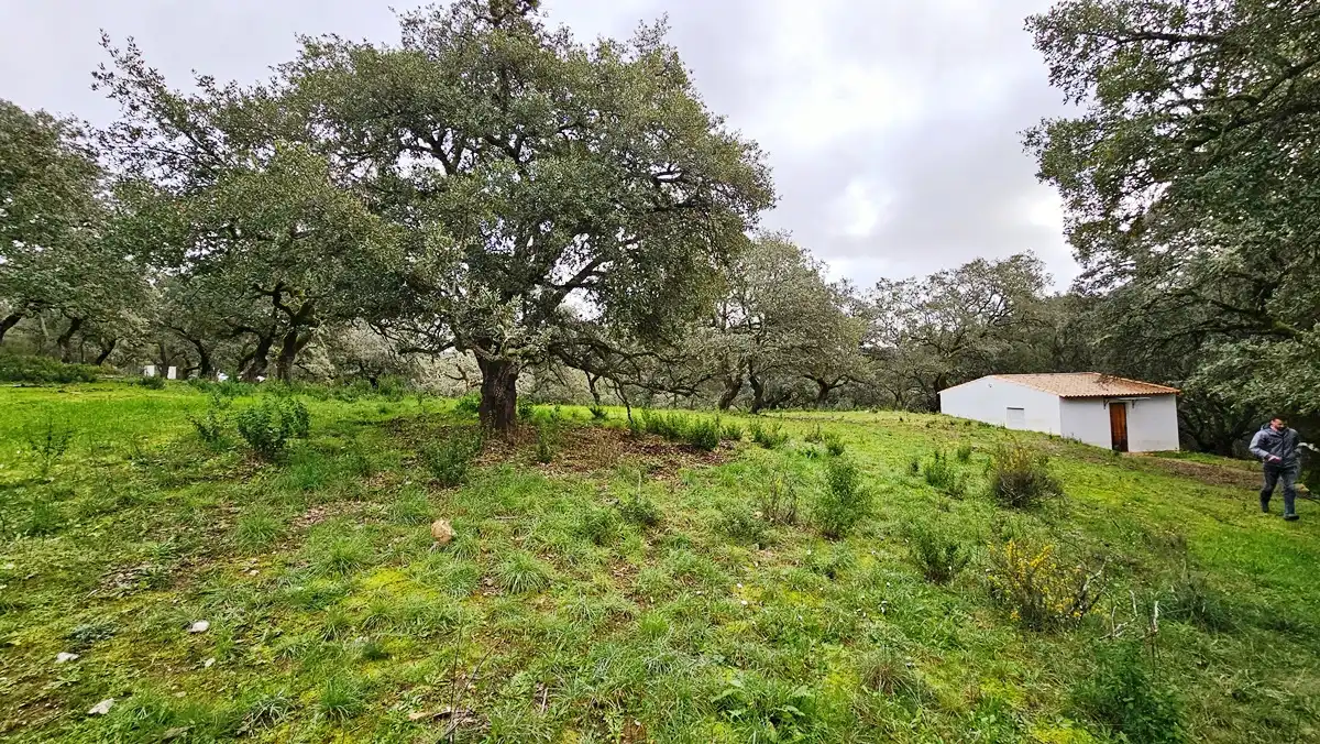 Finca rústica en venta en Santa Ana la Real con Calefacción, Jardín privado y Terraza