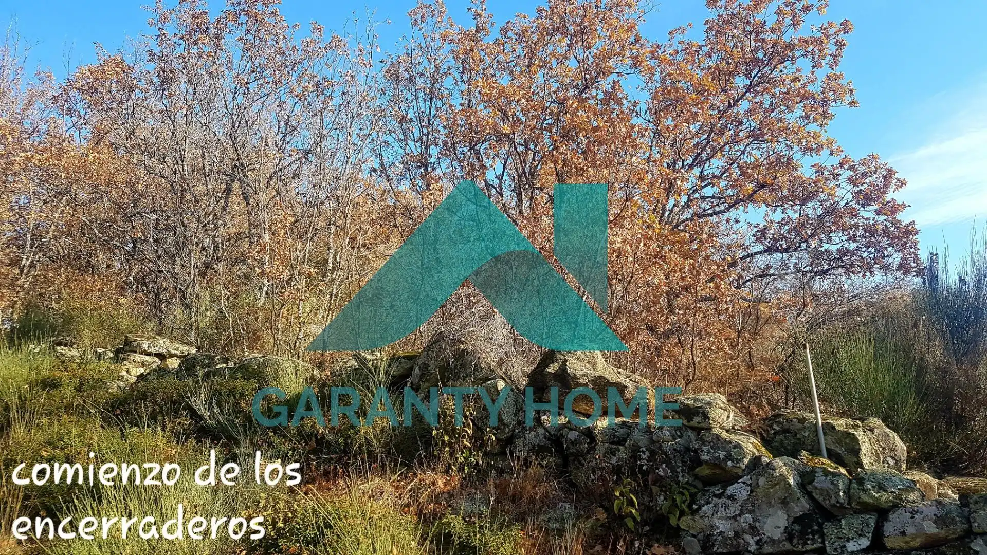 Finca rústica en venta en Aldeanueva de la Vera