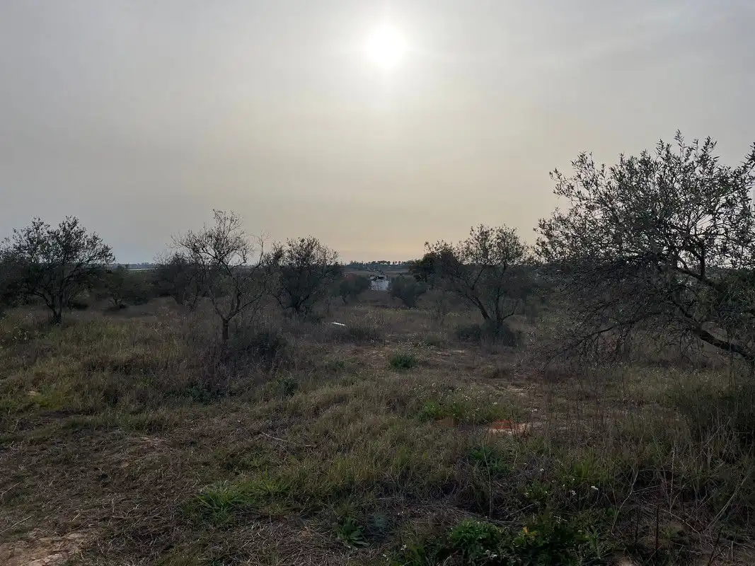 Finca rústica en venta en La Palma del Condado