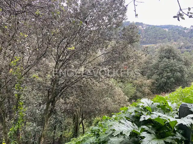 Terreno residencial en venta en La Floresta, imagen 6