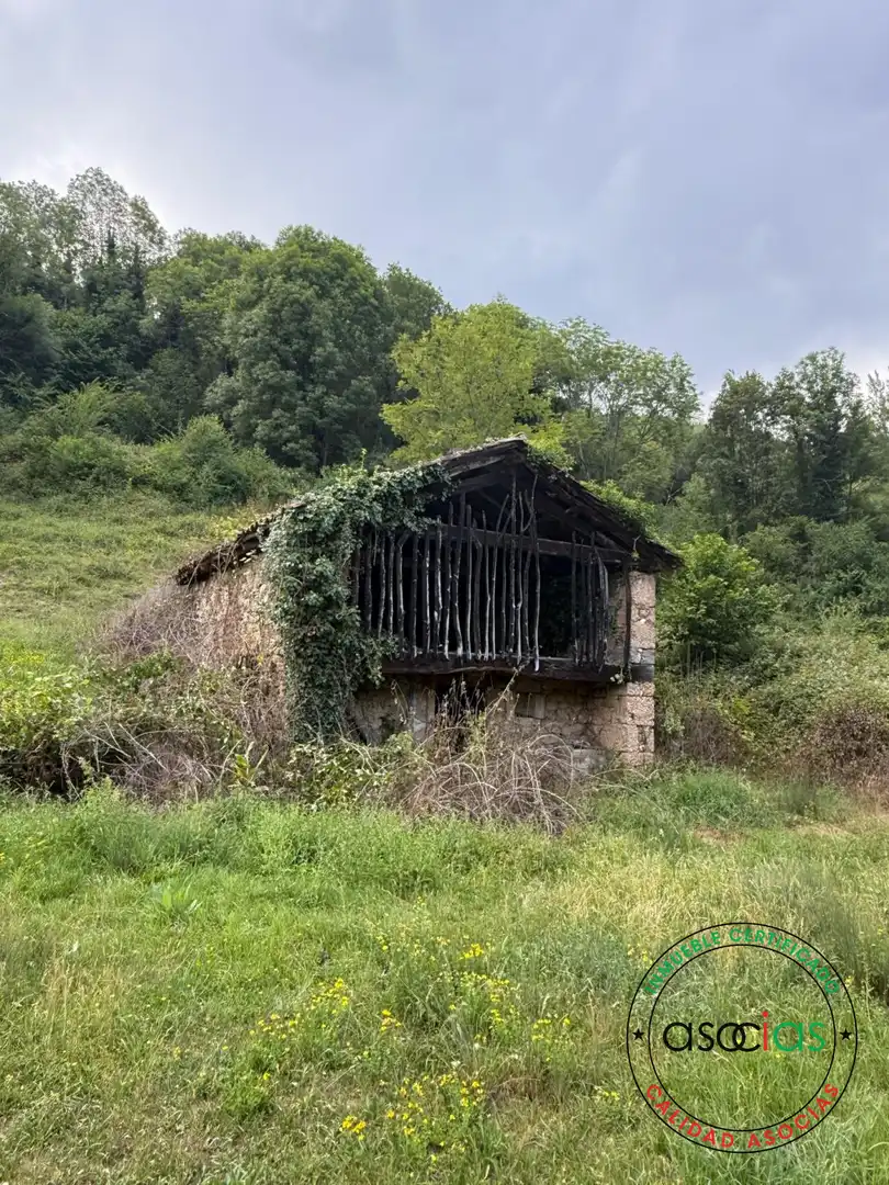 Exterior view of Land for sale in Quirós