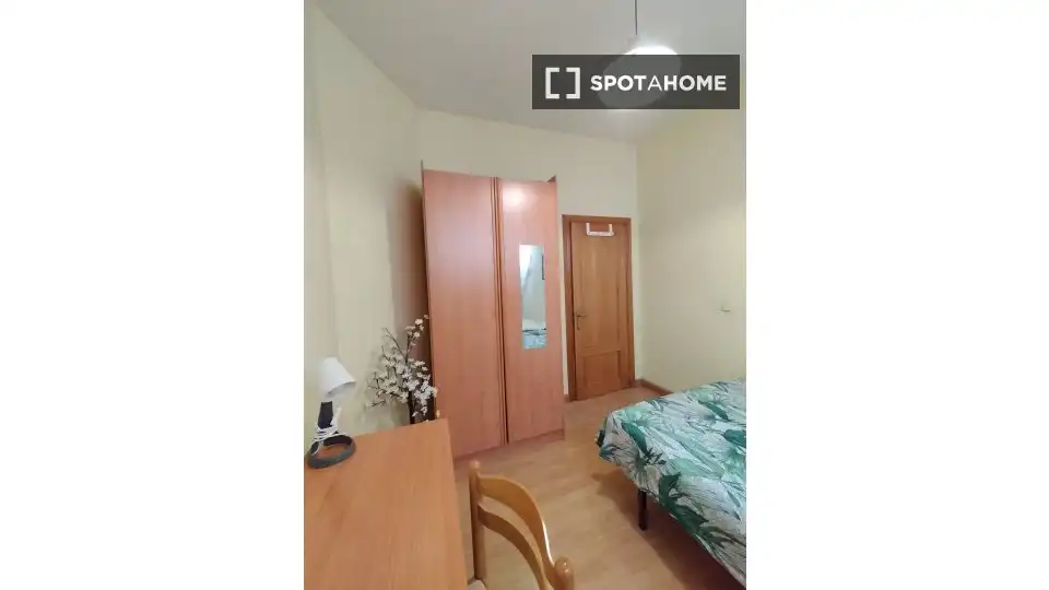 Room in Bellas Vistas