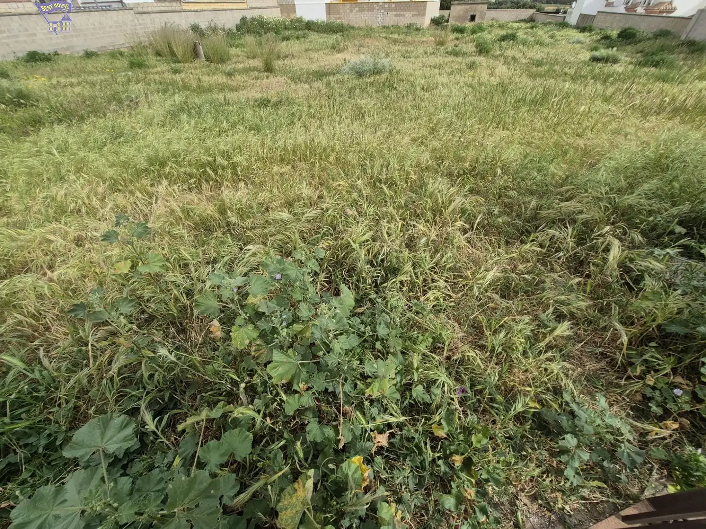 Terrenys i solars en venda a Arcos de la Frontera, imagen 11