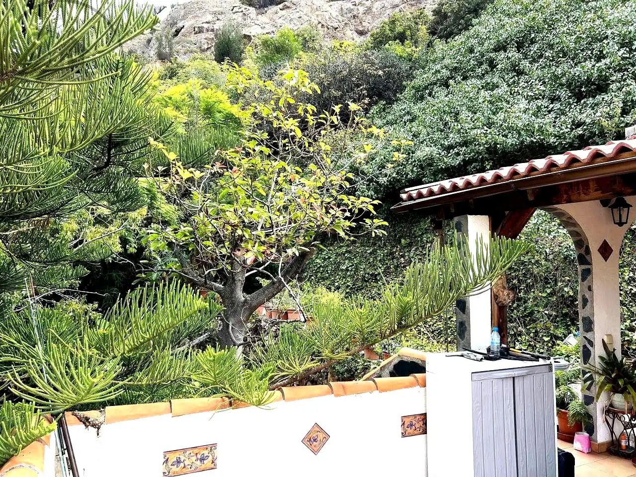 Jardín de Finca rústica en venta en Vallehermoso con Aire acondicionado, Calefacción y Jardín privado