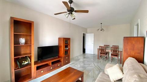 Foto 2 de Apartament per a compartir a Pago San José - Princi - Jerez, Jerez de la Frontera