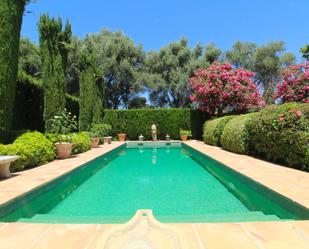 Swimming pool of House or chalet to rent in Marbella  with Private garden, Parquet flooring and Terrace