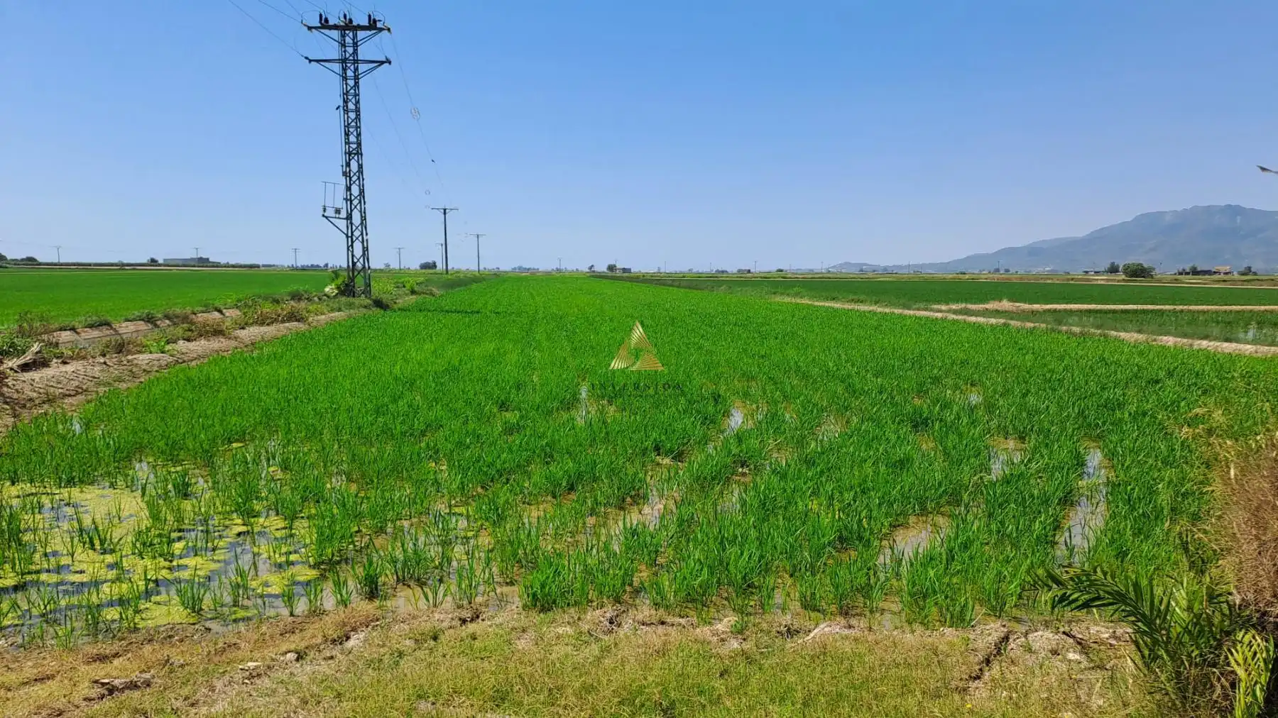 Detached house for sale in Eucaliptus- Poble Nou del Delta, imagen 5
