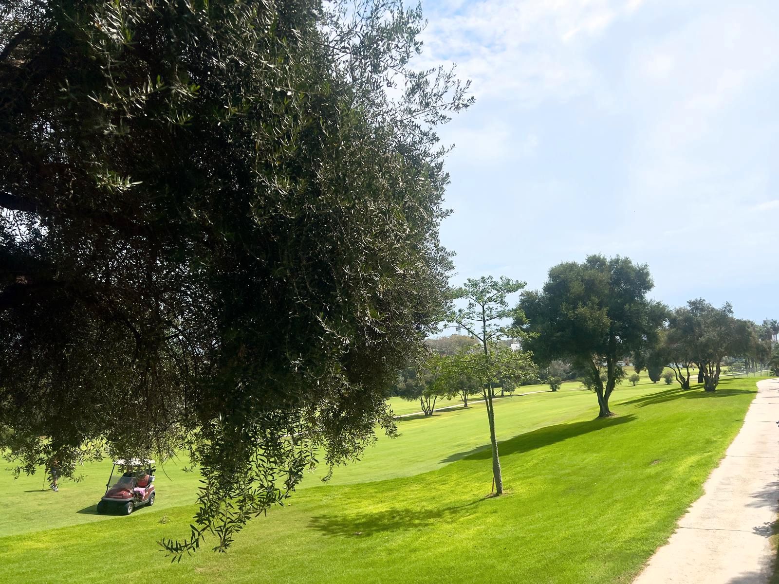 Vista exterior de Piso en venta en Marbella con Aire acondicionado, Terraza y Horno