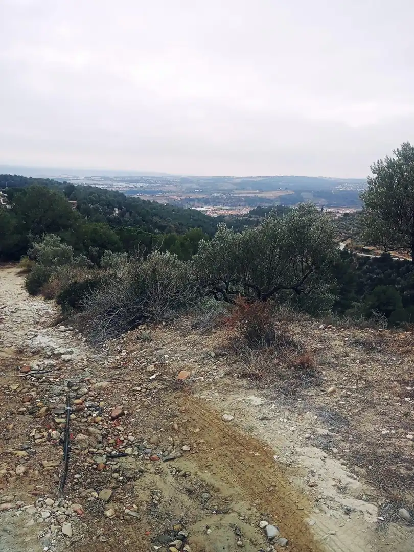 Terreno en venta