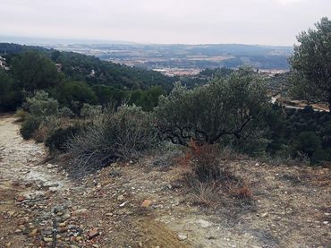 Terreno rustico in vendita a Olesa de Montserrat