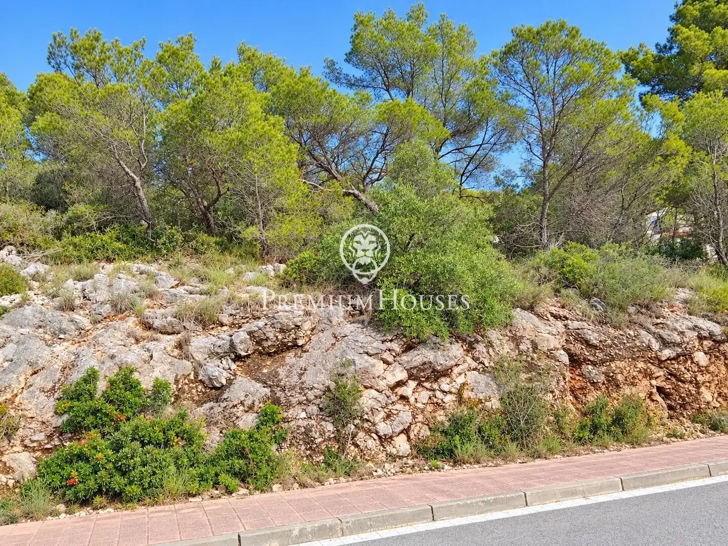 Residential land for sale in Mas Alba, imagen 3