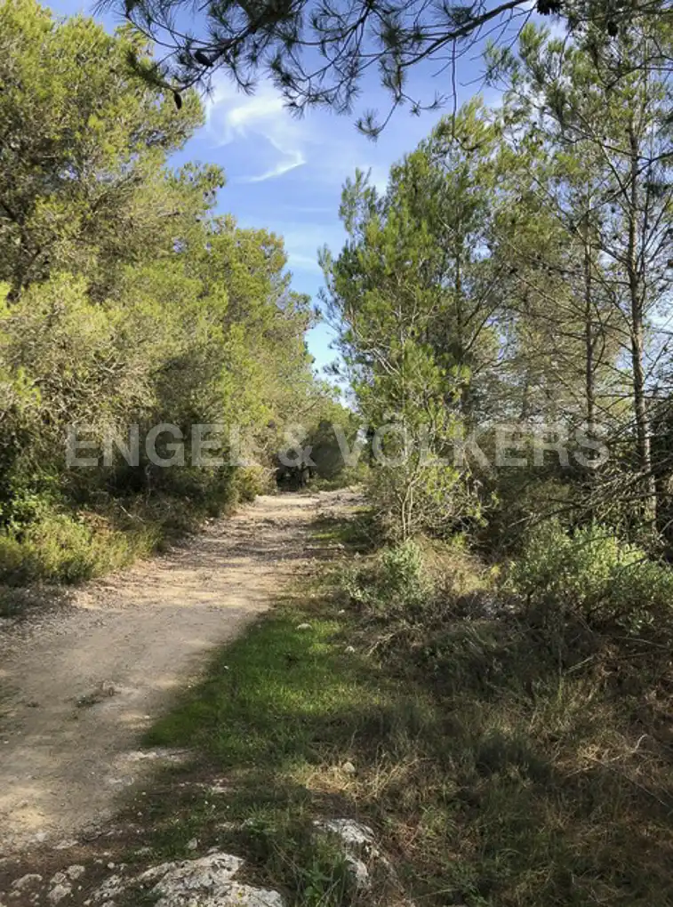 Terreny residencial en venda a Avinyonet del Penedès, imagen 35