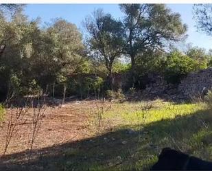 Land for sale in 0, 1, Sineu