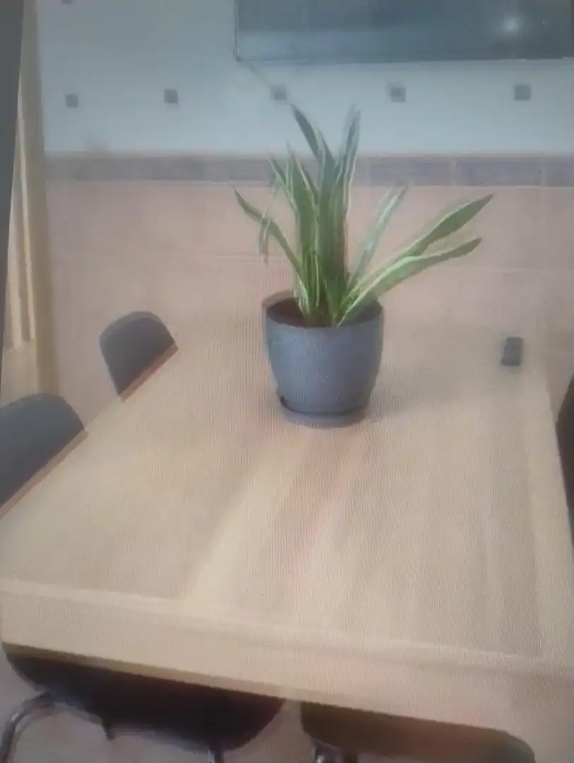 Jardín de Piso en venta en Ciudad Real con Calefacción, Terraza y Amueblado
