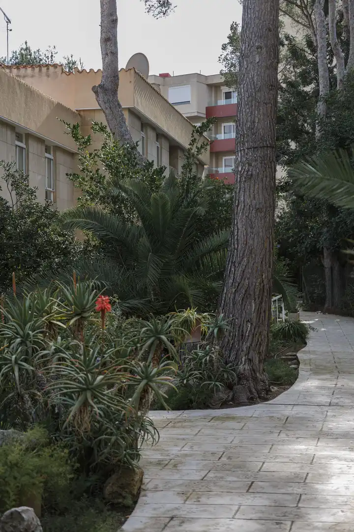 Apartamento en venta en Cas Català - Illetes