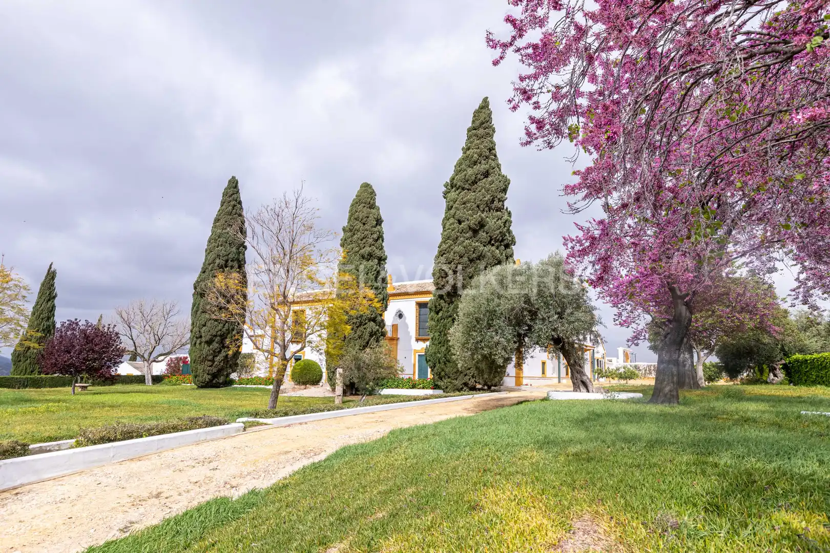 Vista exterior de Casa o chalet en venta en La Puebla de Cazalla con Calefacción, Jardín privado y Terraza