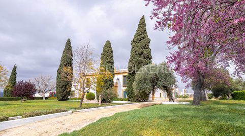 Foto 4 de Casa o chalet en venta en Morón de la Frontera, Sevilla