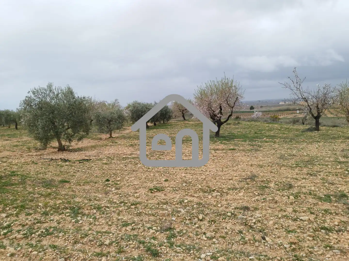 Rural land for sale in Requena, imagen 12