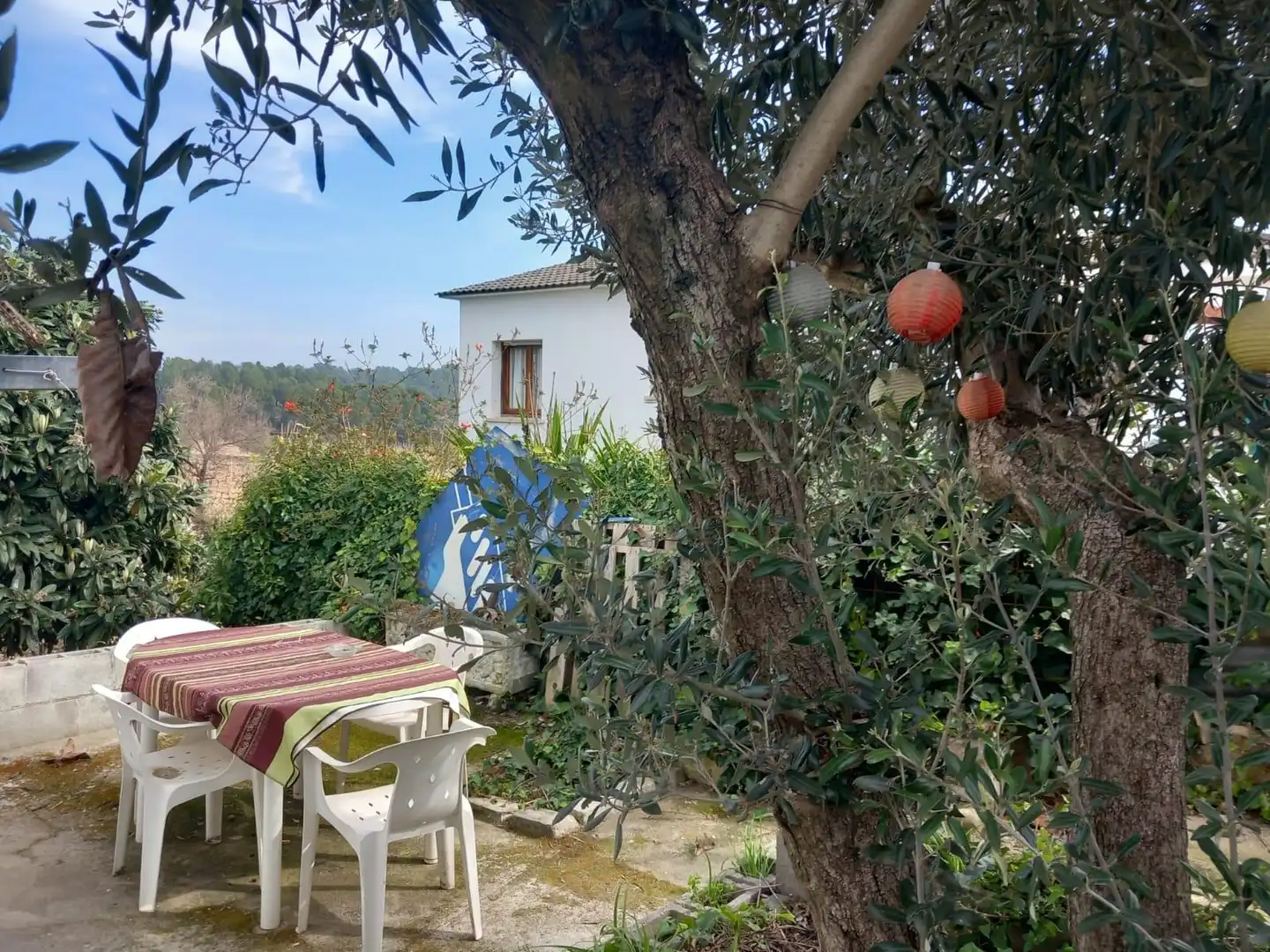 Jardí de Casa o xalet en venda en Torrelles de Foix amb Traster