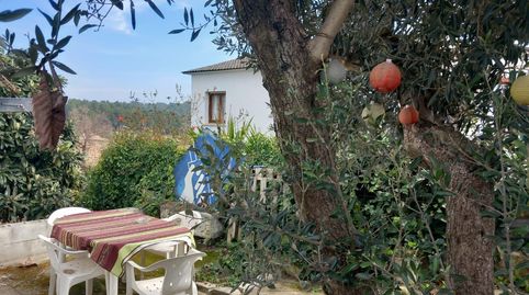 Foto 2 de Casa o chalet en venta en Torrelles de Foix, Barcelona