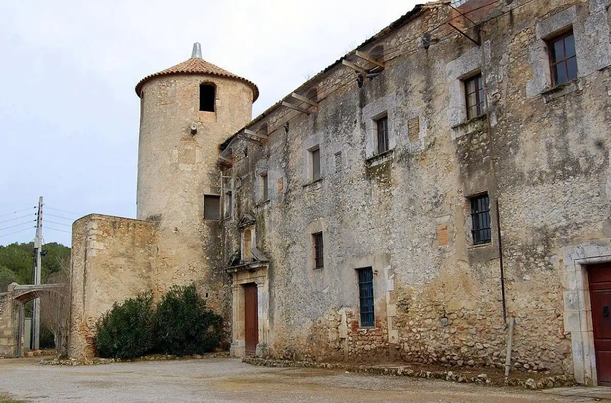 Exterior view of Industrial buildings for rent in Santa Margarida I Els Monjos