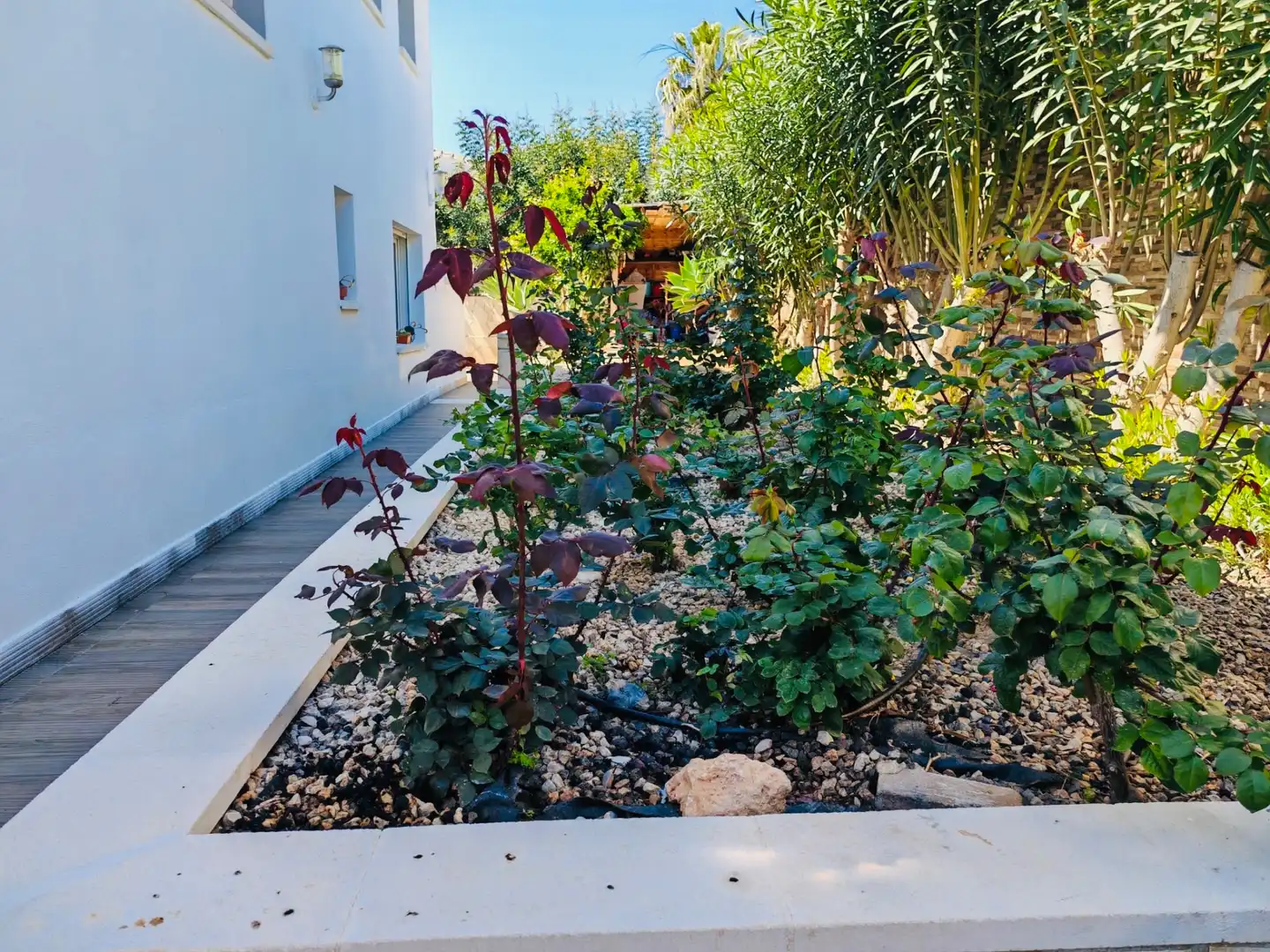 Villa mit Terrasse zum Verkauf in Zona Pueblo, imagen 5