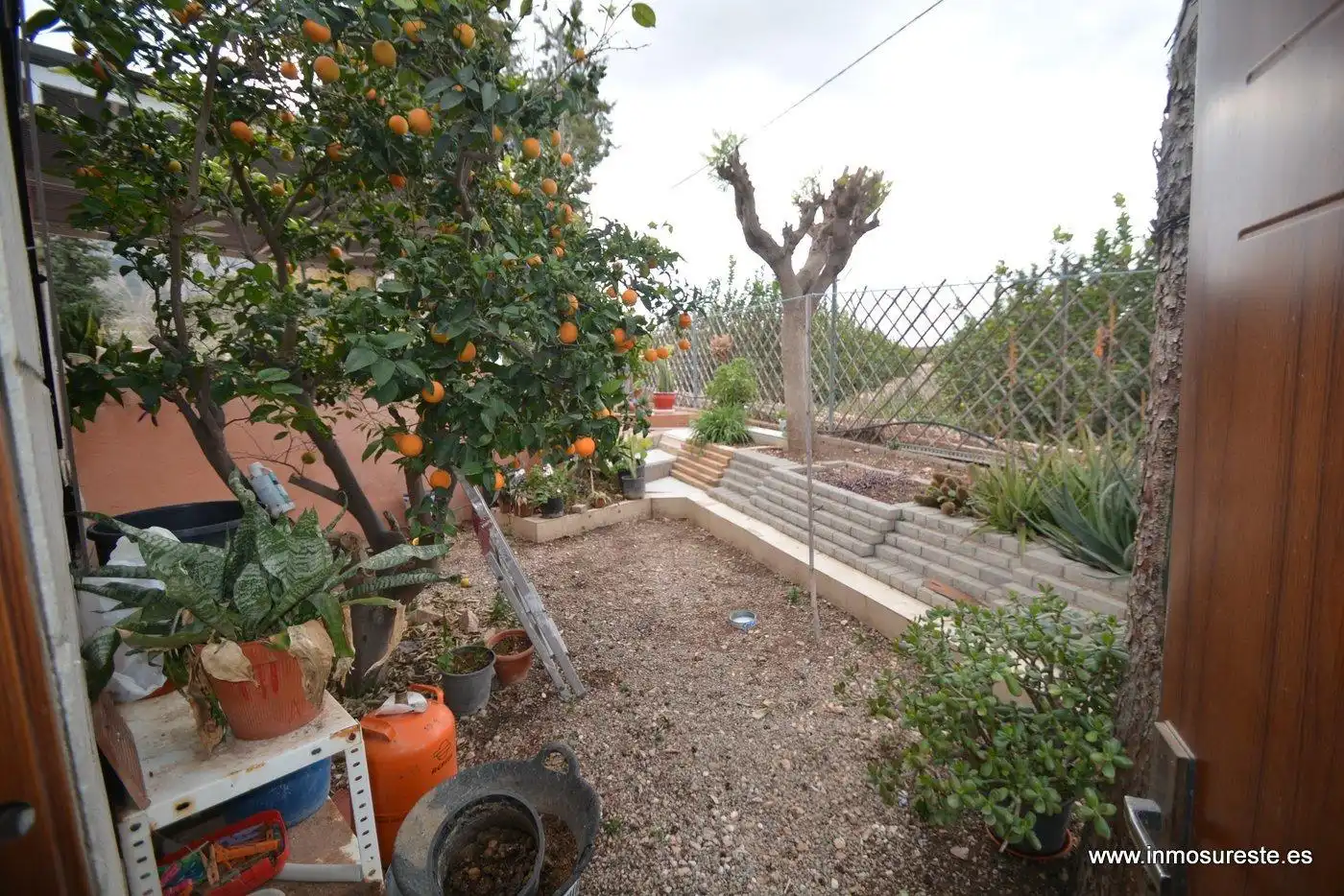 Garden of Country homes for sale in Santomera  with Private garden and Swimming Pool