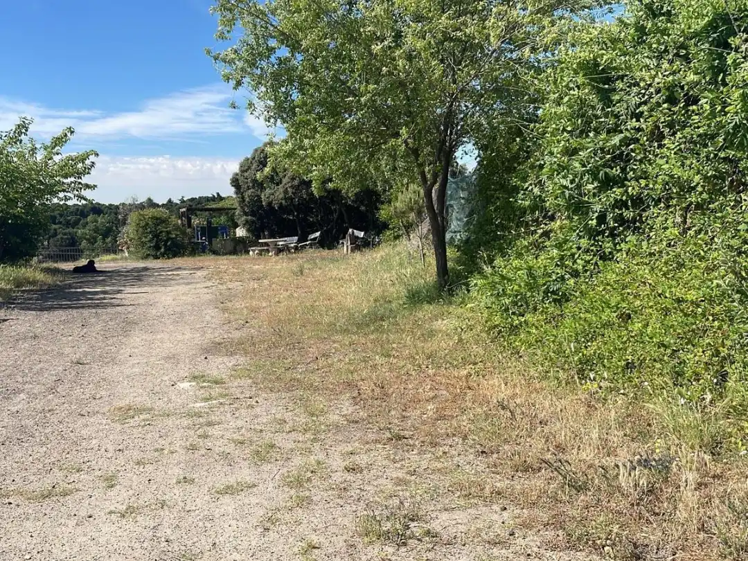 Terreno rustico in vendita a Camino de las Salinas 5, imagen 19