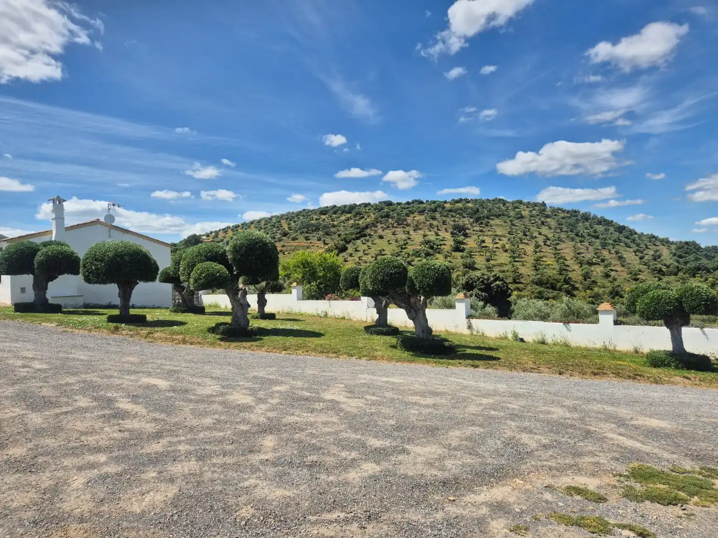 Finca rústica en venda en Puerto Serrano amb Aire condicionat, Calefacció i Jardí privat