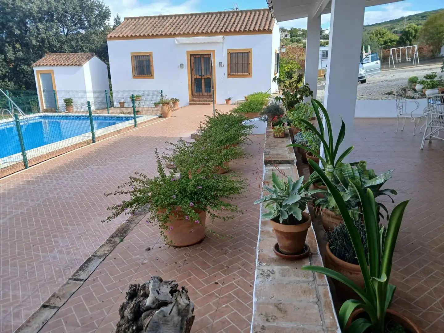 Terrassa de Finca rústica en venda en Arcos de la Frontera amb Jardí privat i Piscina comunitària
