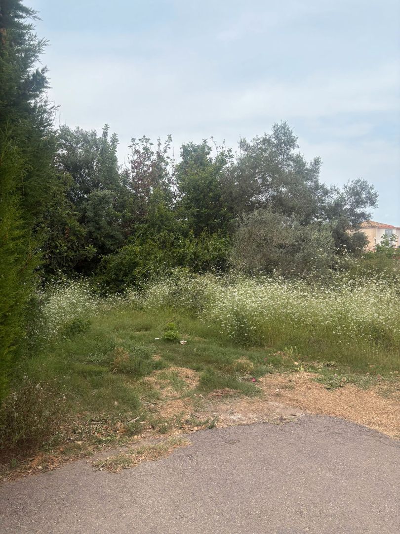 Residencial en venta en Picassent