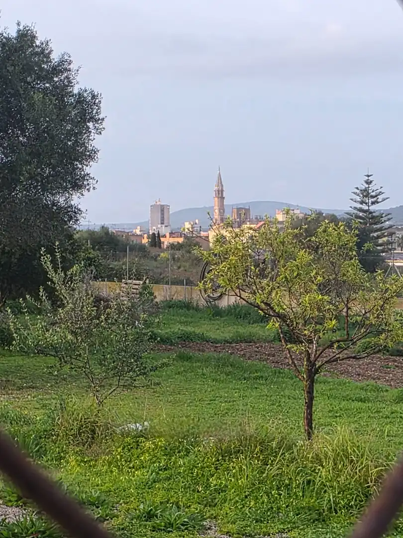 Rustikales Grundstück zum Verkauf in Manacor Centre, imagen 7