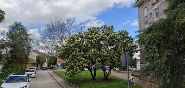 Piso en Venta en Cañero