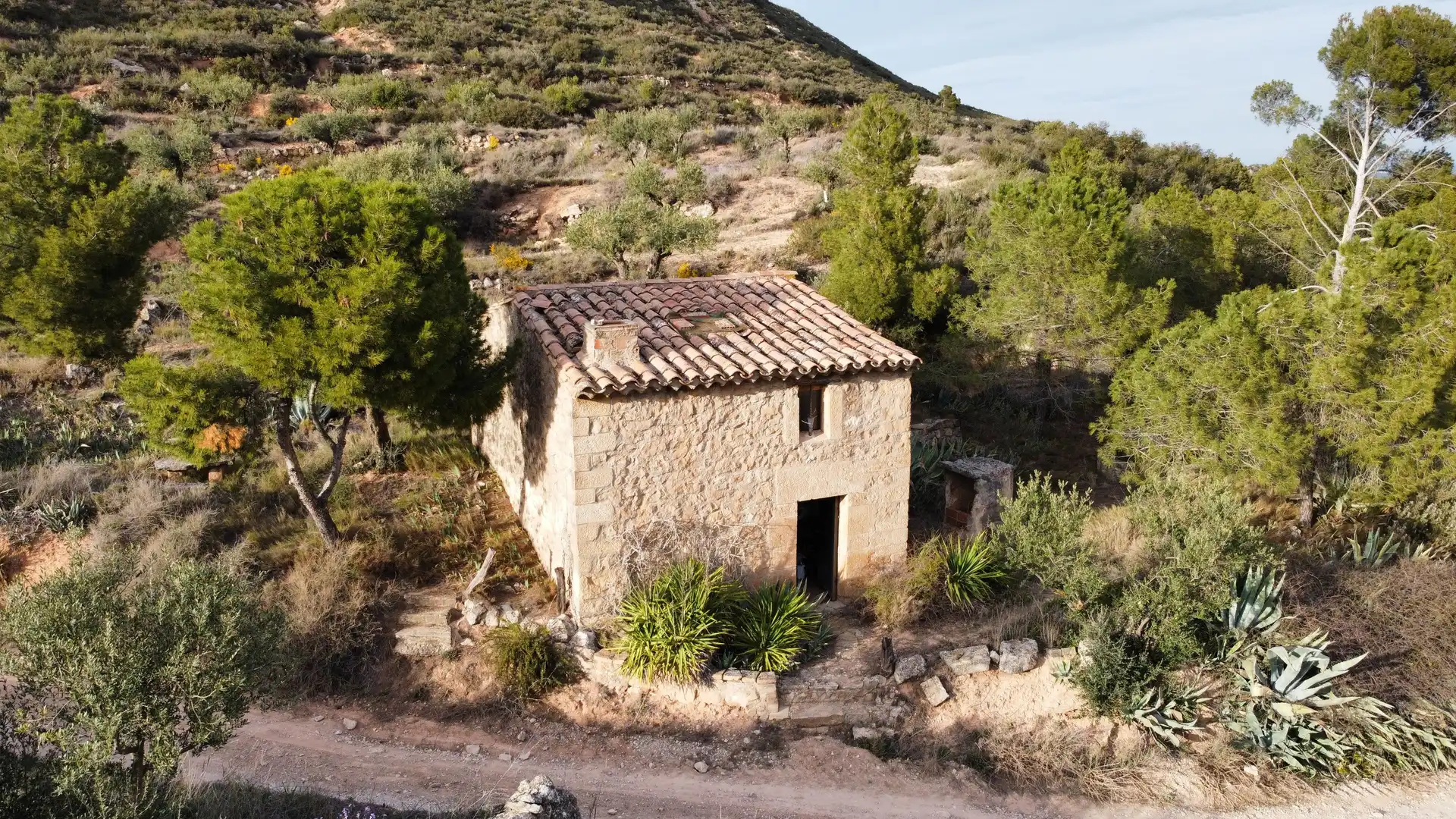 Terreny rústic en venda a Les Borges Blanques