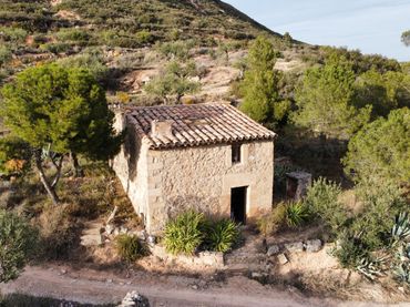 Terreno rústico en venta en Les Borges Blanques