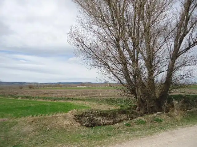 Land for sale in Paraje Los Rompidos, Villarquemado