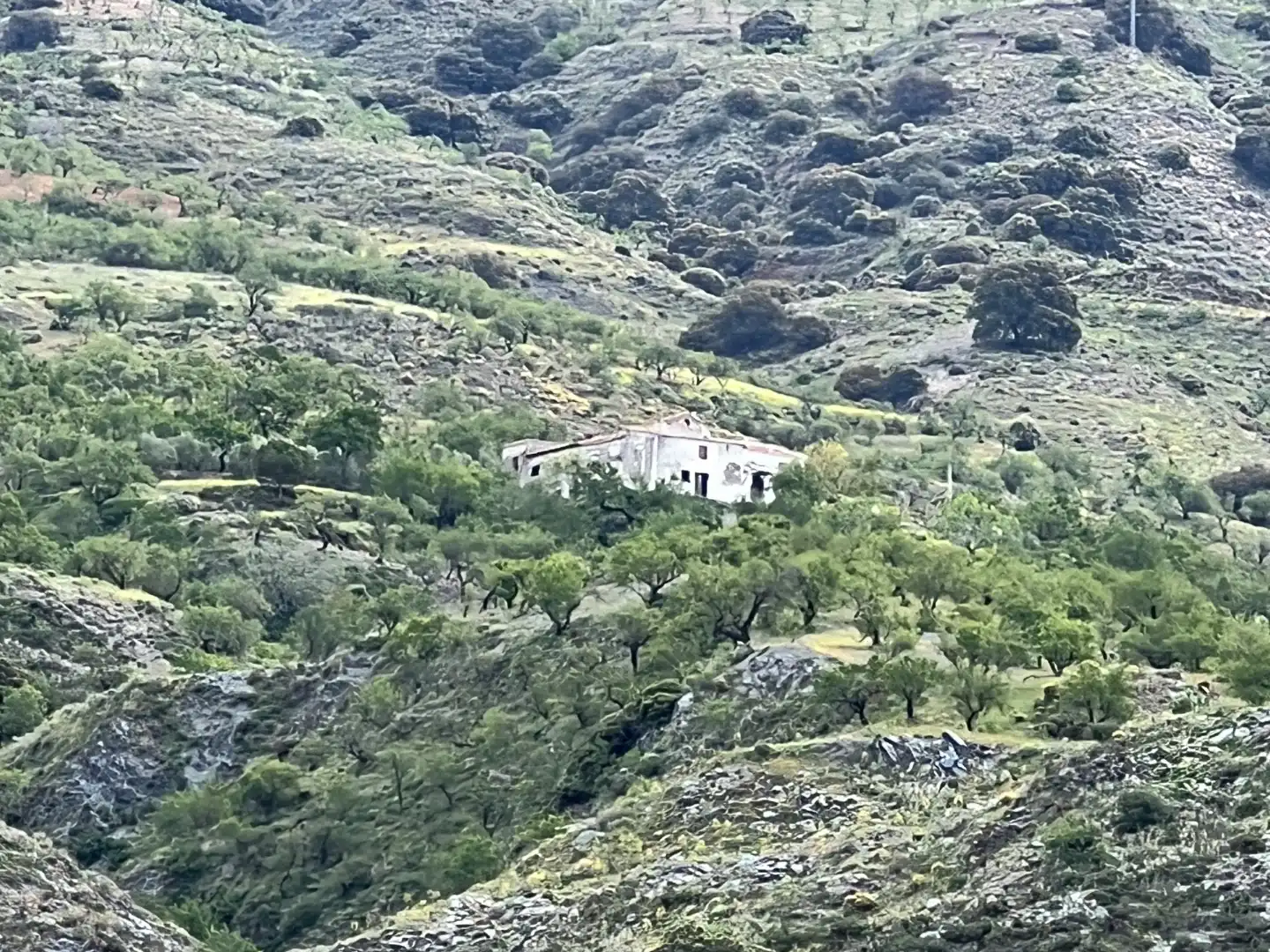 Casa rústica amb jardí en venda a Real 10, imagen 19