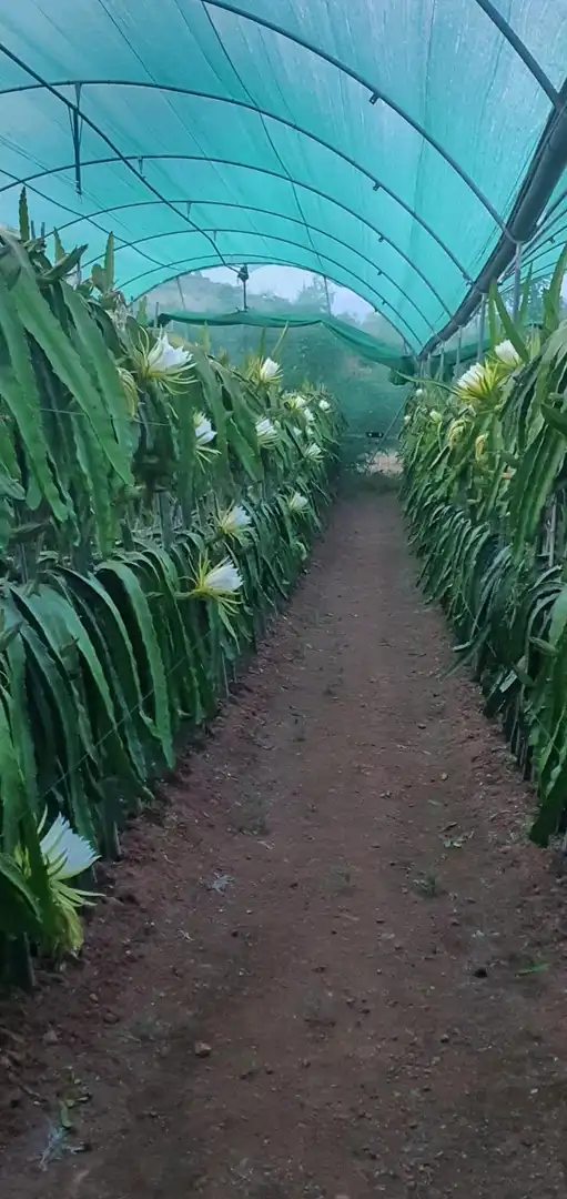 Casa o xalet en venda en Guaro amb Aire condicionat, Jardí privat i Moblat