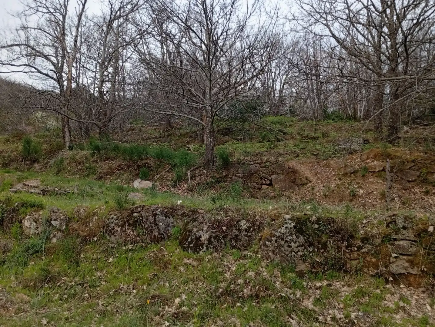 Terreni e lotti in vendita a Valverde de la Vera, imagen 107